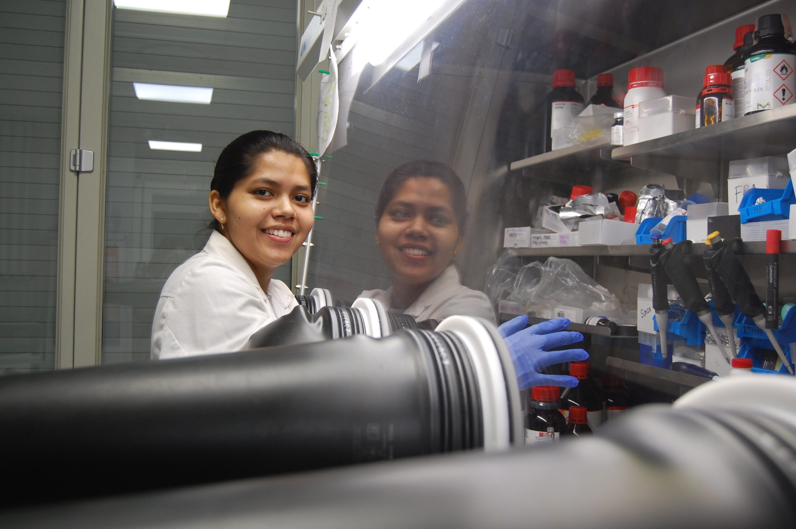 Lab