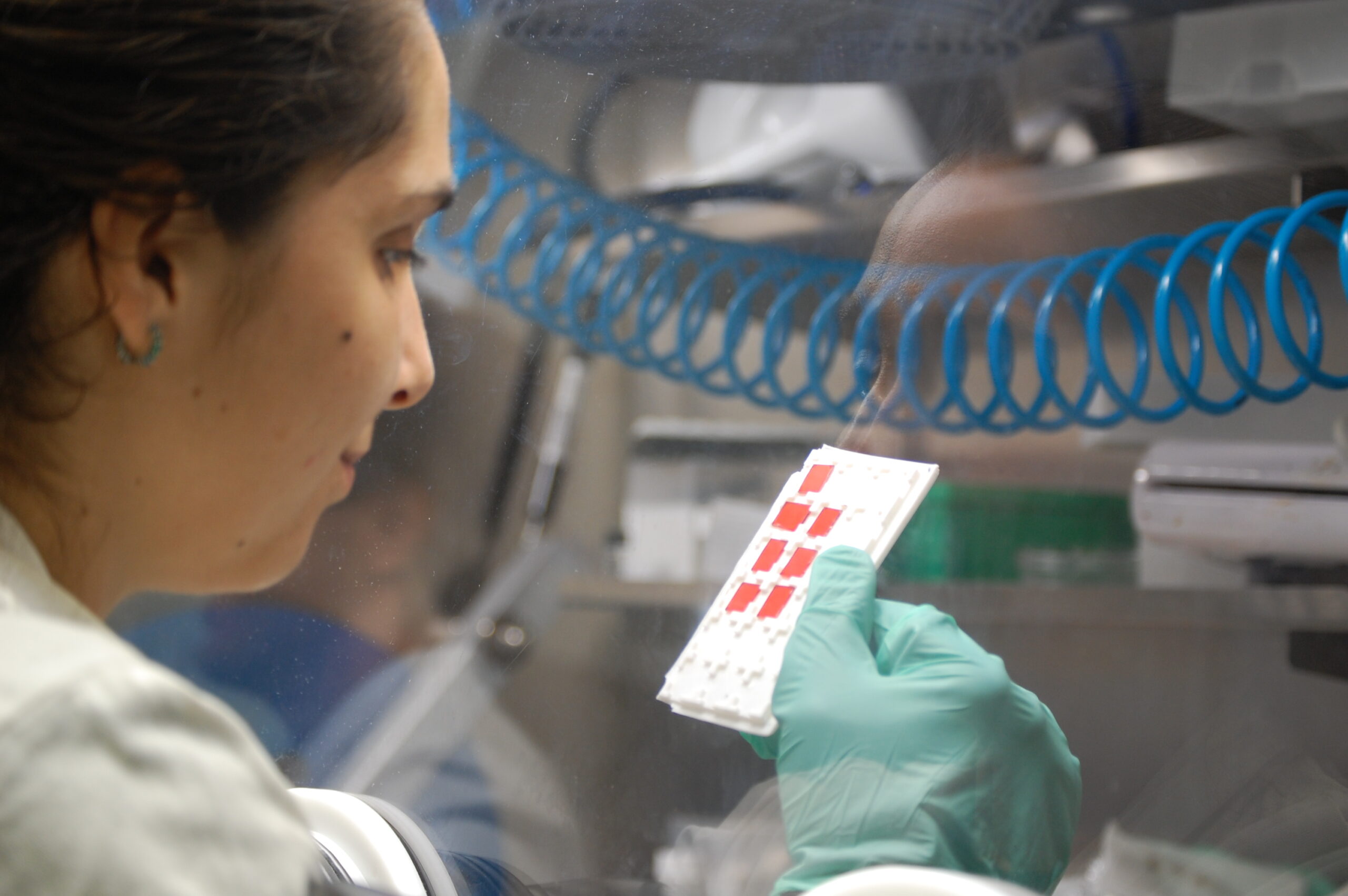Lab
