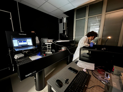 lab